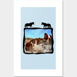 Wild horses, wildlife, gifts, Assateague Island Posters and Art